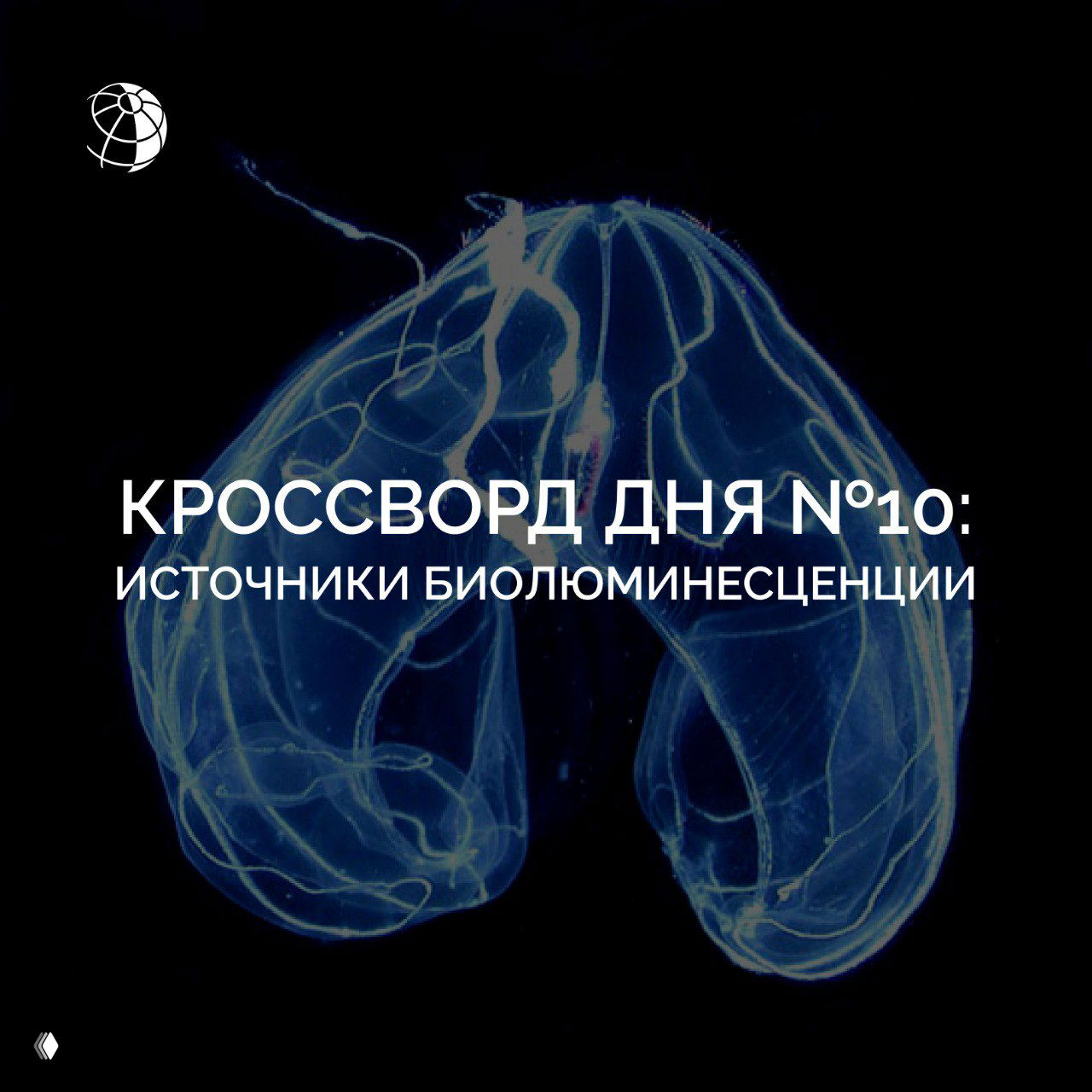 Кроссворд дня №10: источники биолюминесценции