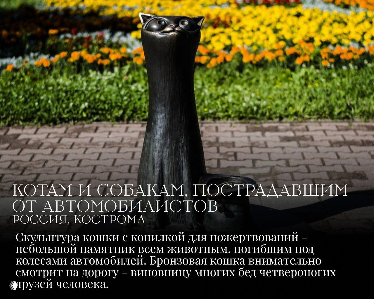 Высокая бронзовая фигуристая кошка с выразительным профилем на фоне цветочных клумб и тротуара — памятник животным, пострадавшим от автомобилистов в Костроме.