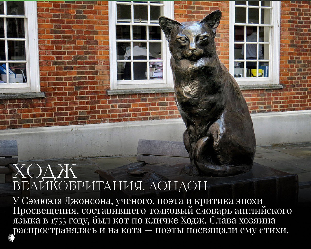 Бронзовая скульптура кота Ходж, установленная в Лондоне, сидящая на постаменте на фоне окон здания и городского окружения.