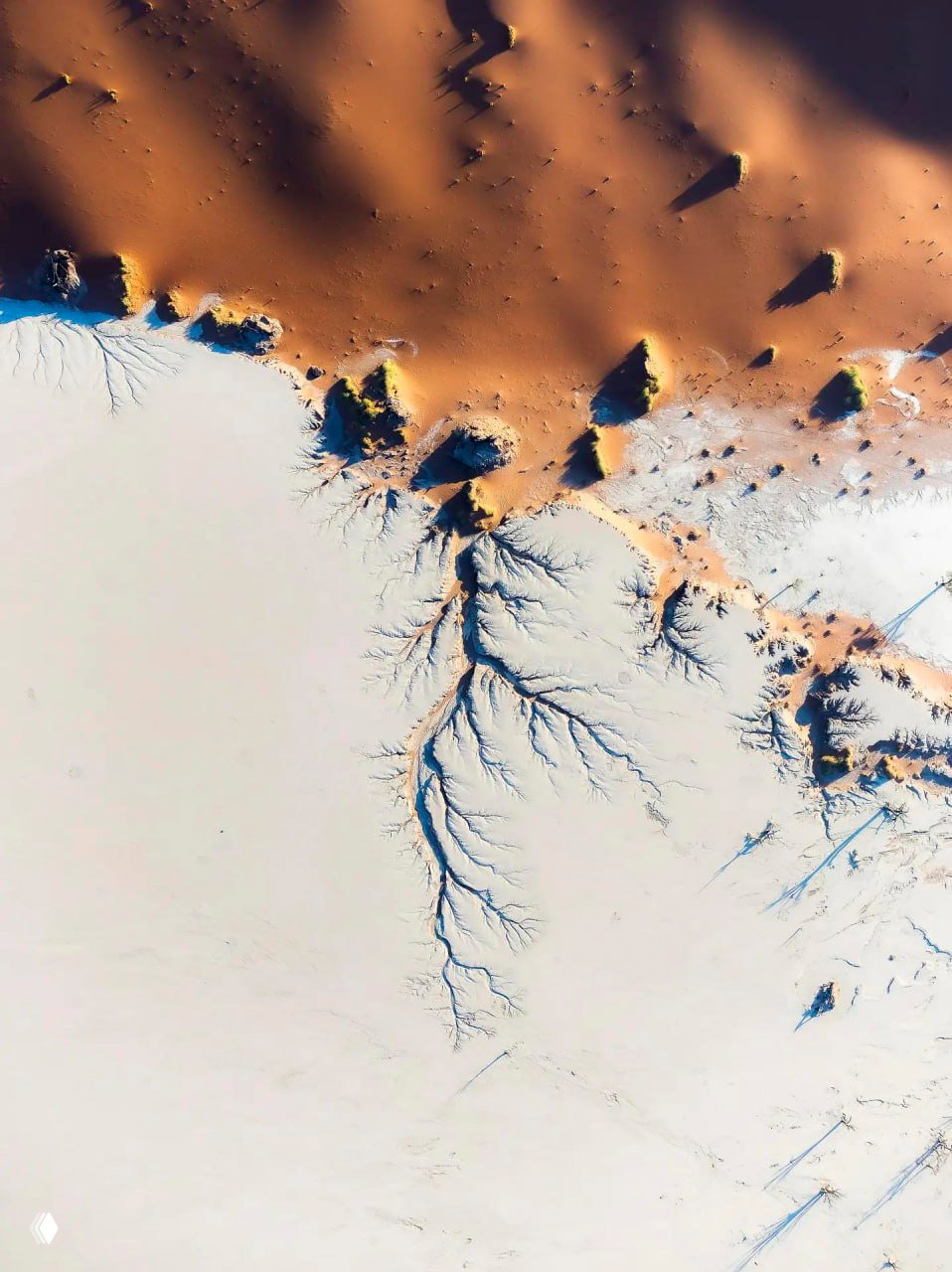 Аэрофотография пустынных барханов и светлых равнин: оранжевые дюны, тени и ветвящиеся эрозионные каналы на белом фоне песка.