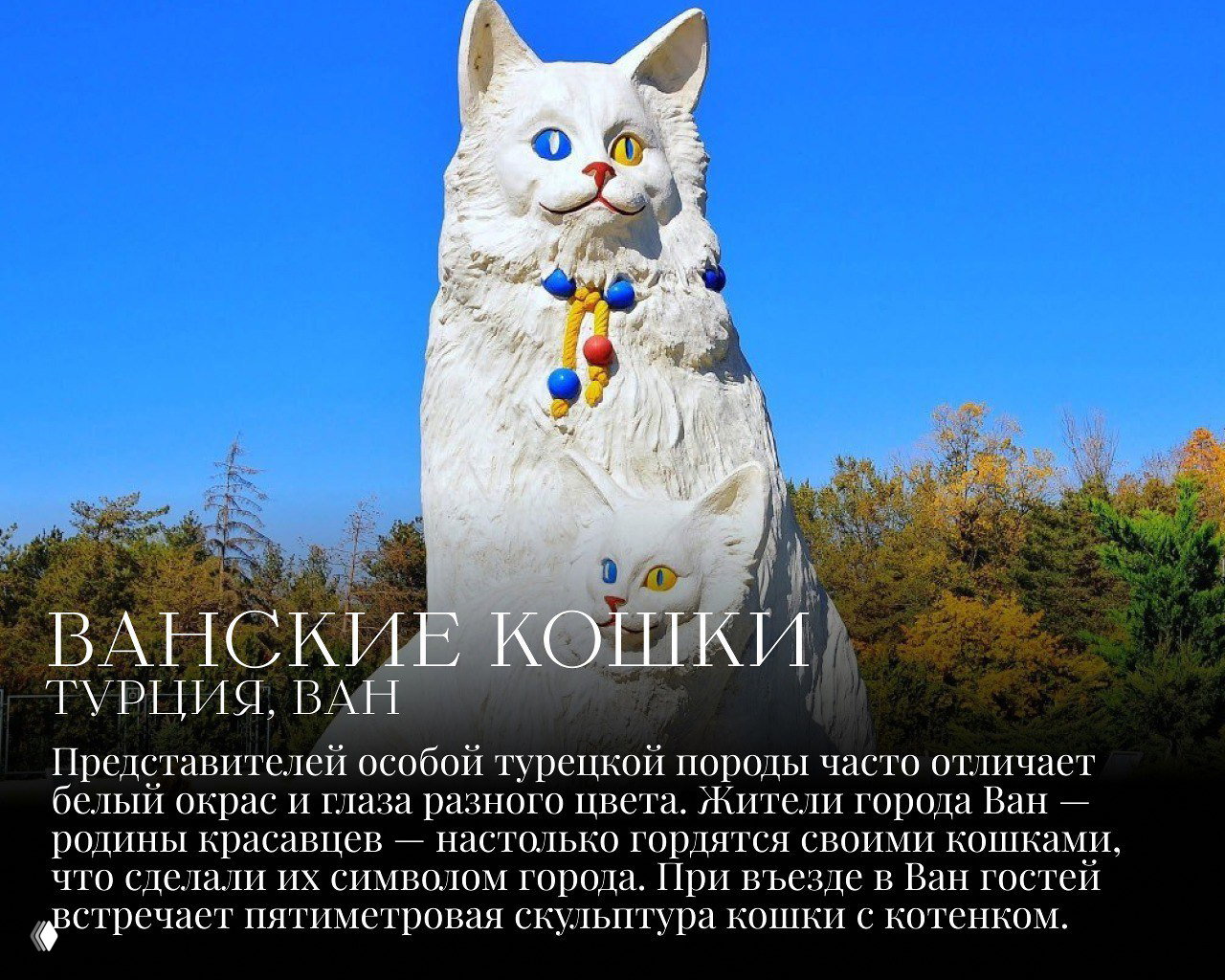 Пятиметровая белая скульптура ванской кошки с котенком на фоне голубого неба и осенних деревьев в турецком городе Ван, яркая монументальная композиция.