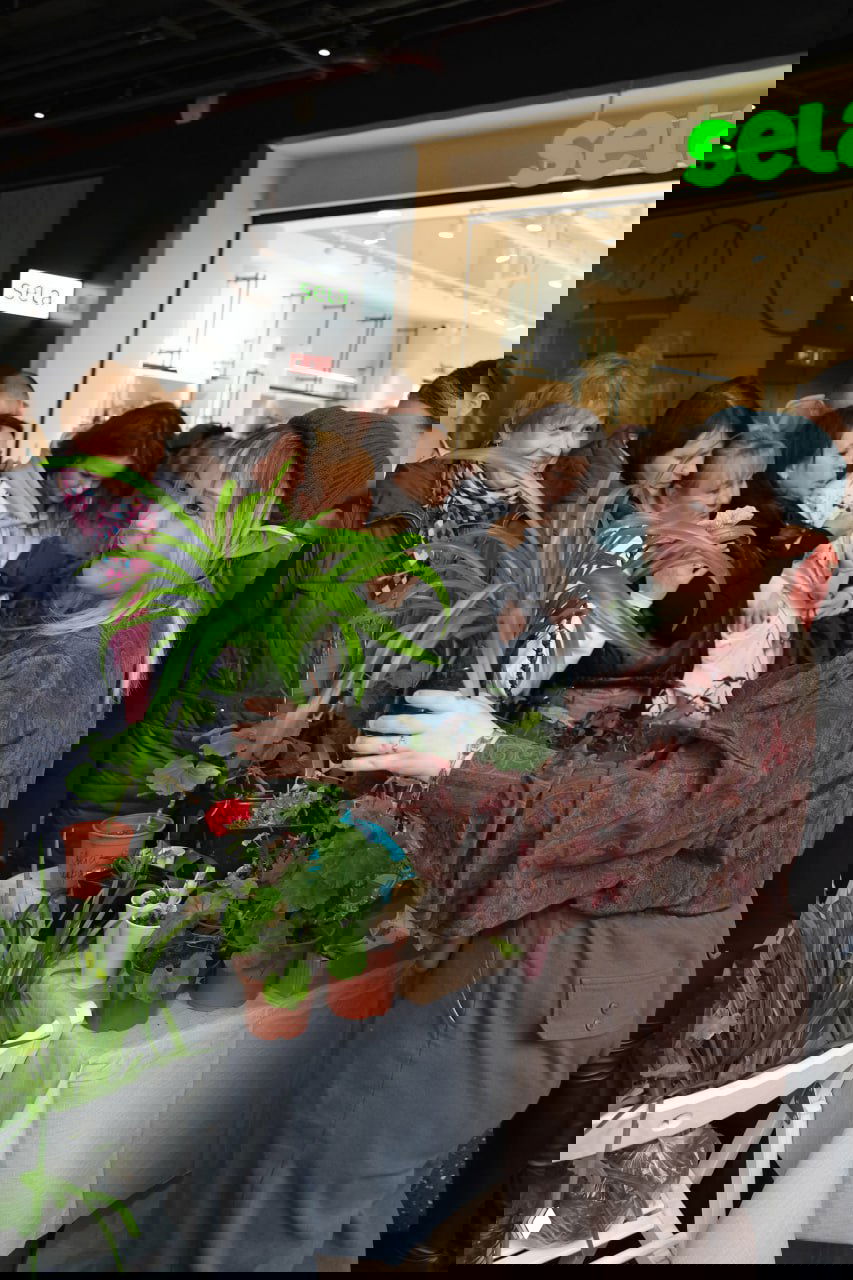 Участница СВОПа протягивает комнатное растение; на заднем плане очередь заинтересованных людей, стол с горшками и зелёными саженцами.