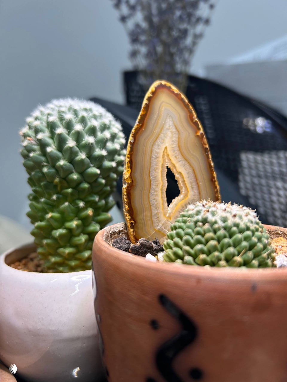 «Сокровищница Солнца» на GreenMarket — 4–6 марта