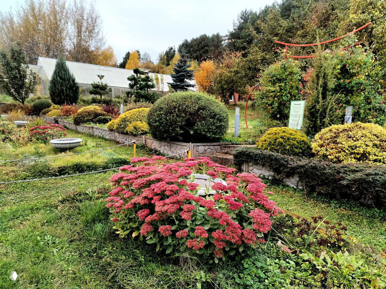 Только два дня на нашем маркете!