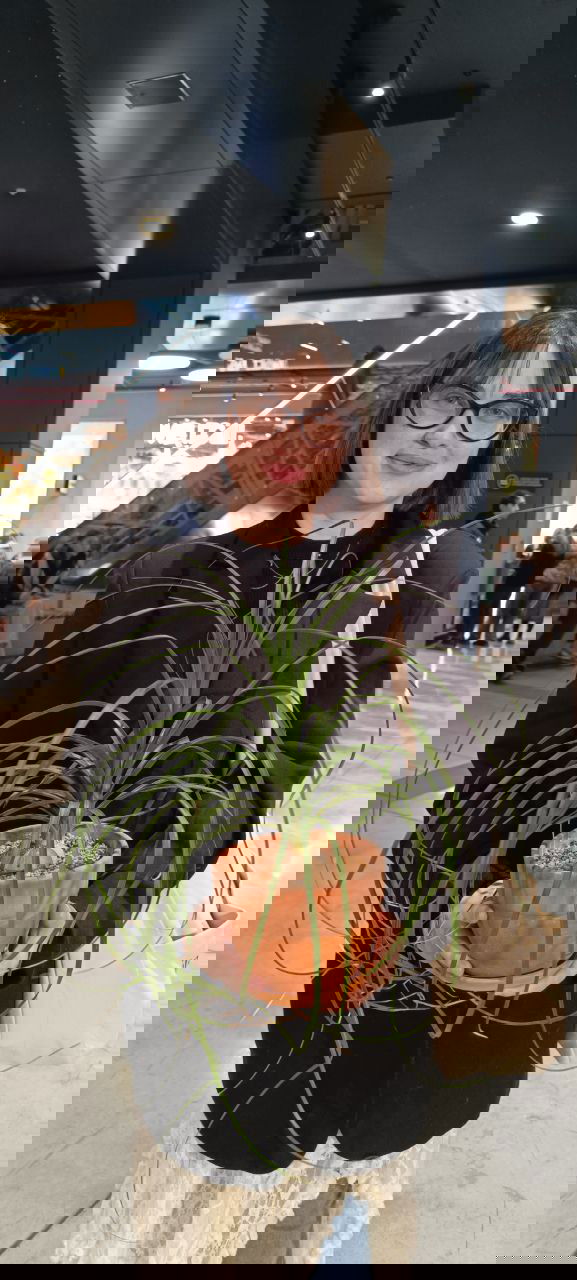 Цветочный гороскоп: Водолей и бонсай