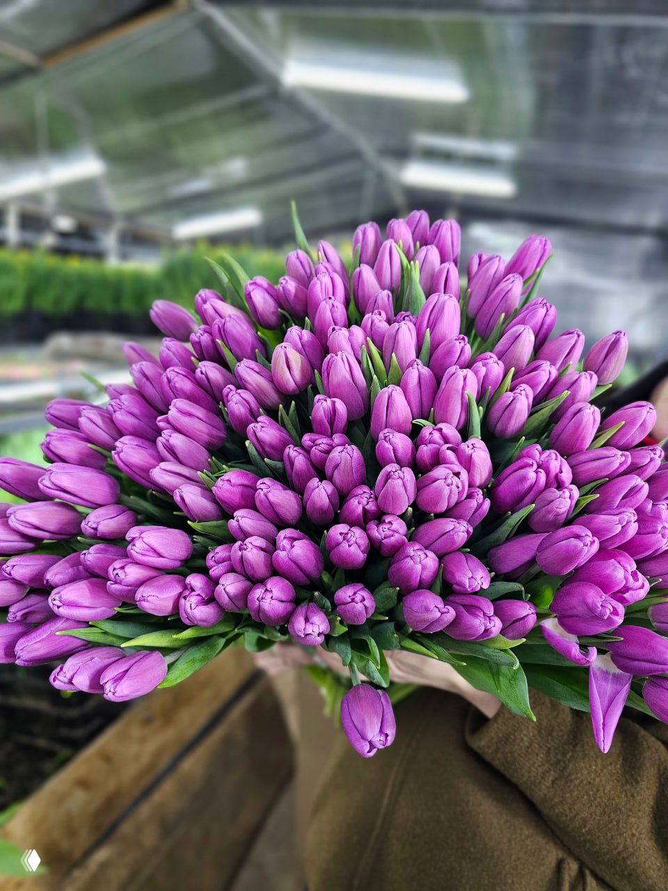 С гордостью заявляем — made in Tatarstan