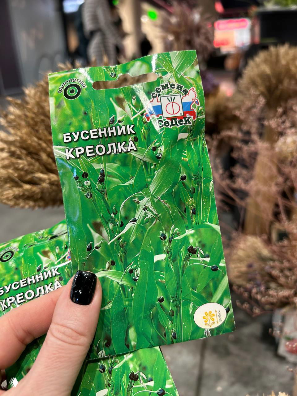 Пакет семян «Бусенник Креолка» в руке на фоне прилавка маркета; на упаковке изображение зелёных стеблей и мелких тёмных семян.