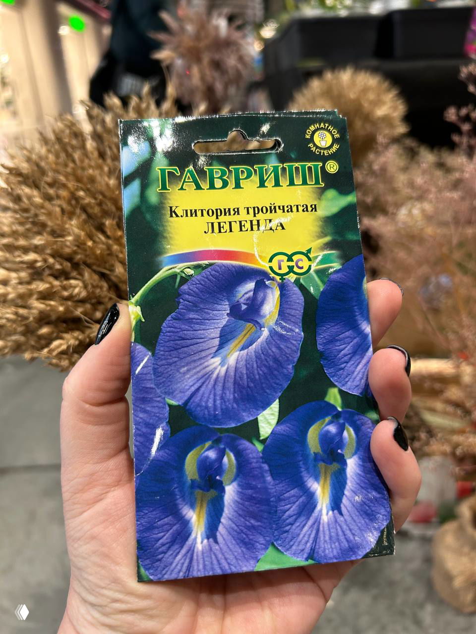 Пакет семян «Клитория тройчатая» с крупными синими цветами в руке; фон — торговая зона и сухие композиции, акцент на упаковке.