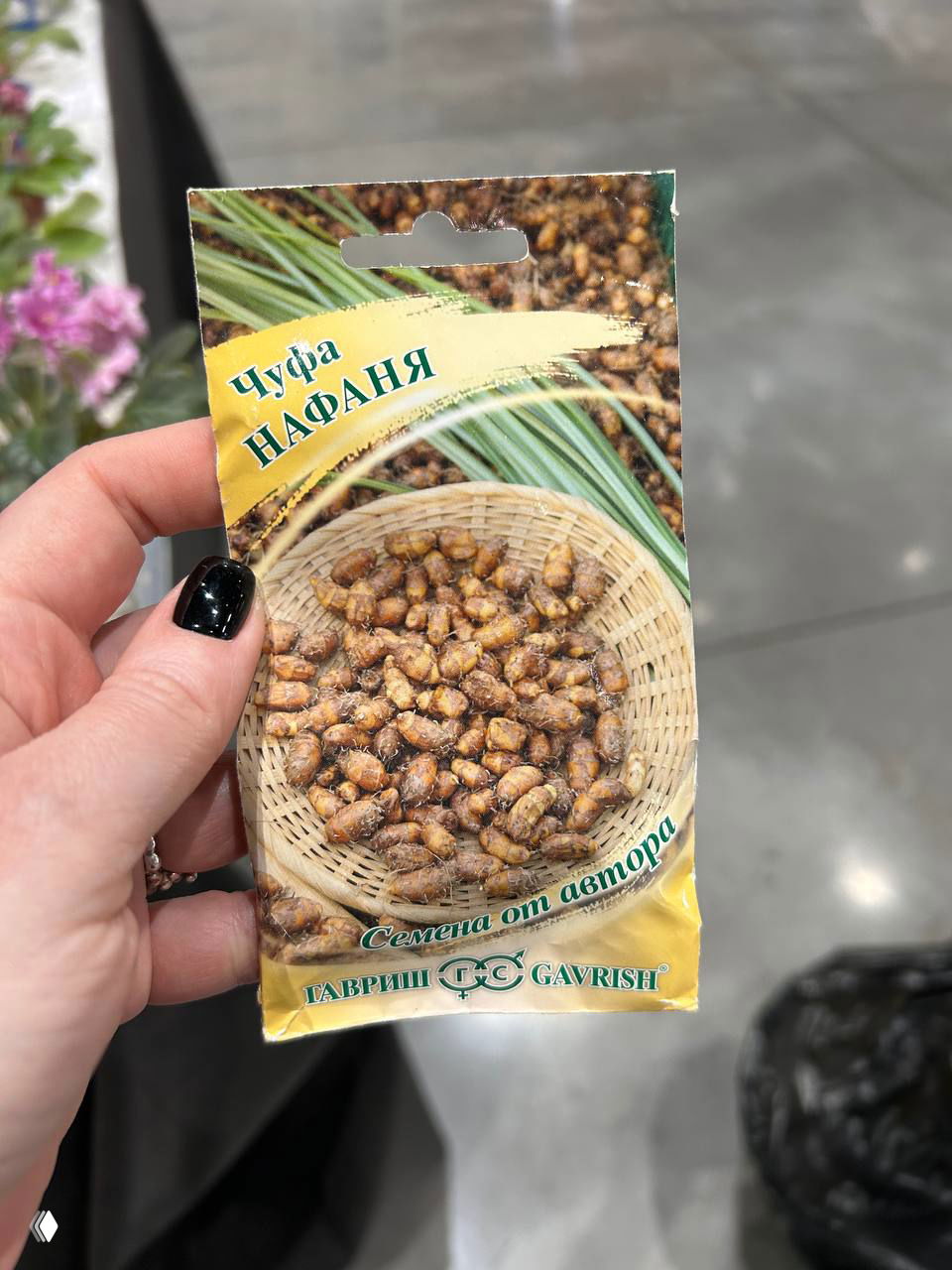 Пакет семян «Чуфа (нафаня)» в руке, на упаковке корзина с клубнями земляного миндаля; снимок сделан на фоне маркета и стеллажей.