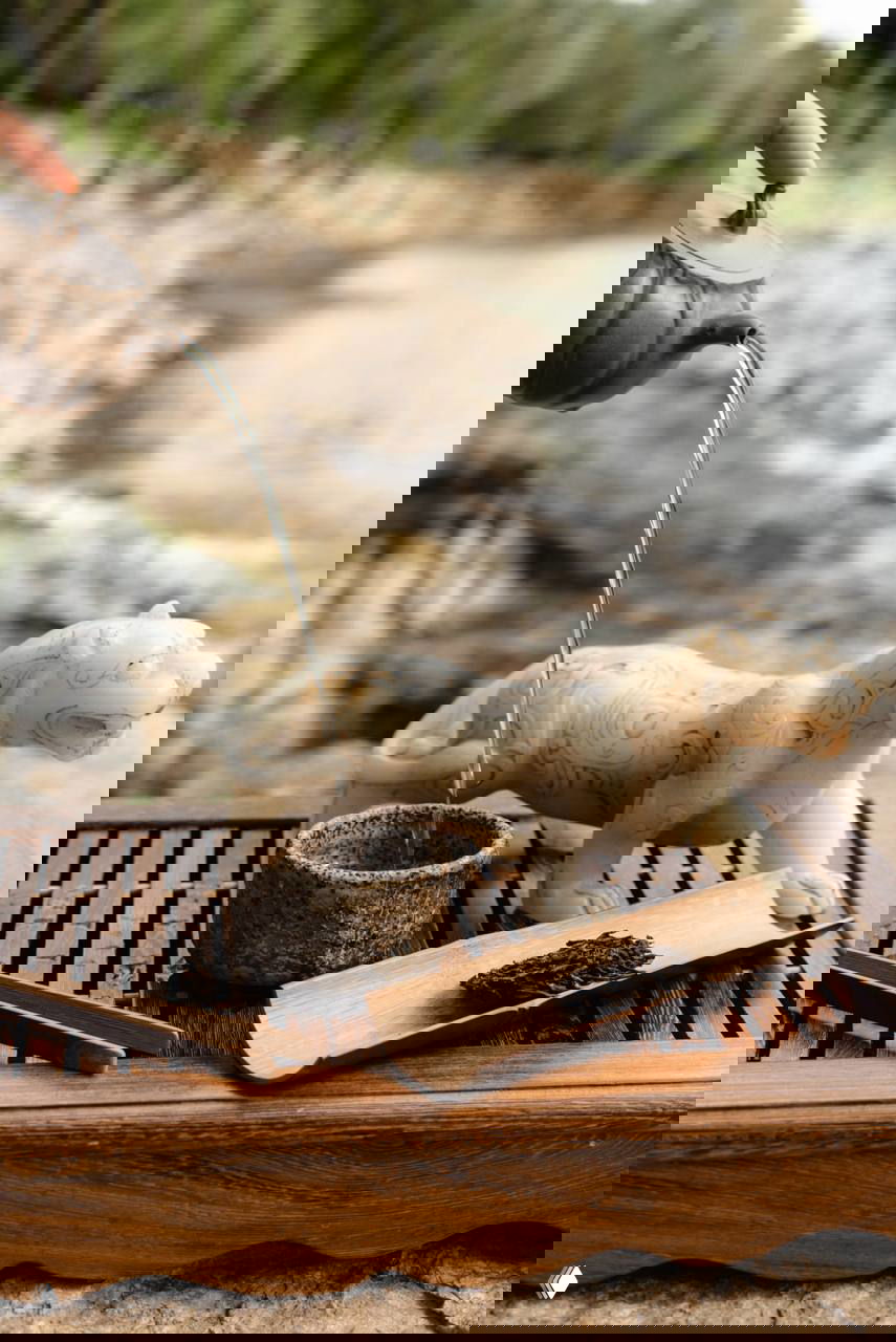 GreenMarket: фуд-зона и дегустации (28 фев – 8 мар)