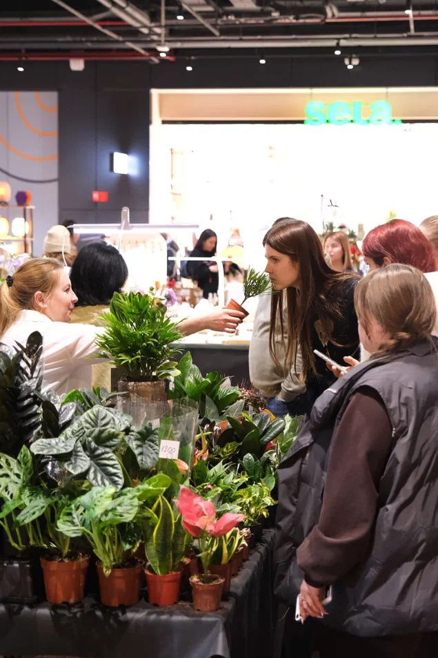 Набор участников на GreenMarket 25–26 апреля