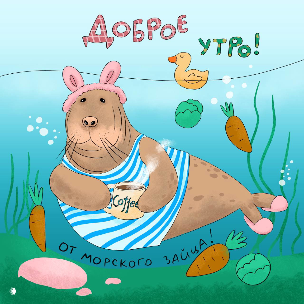 После отпуска: морской заяц из Московского зоопарка