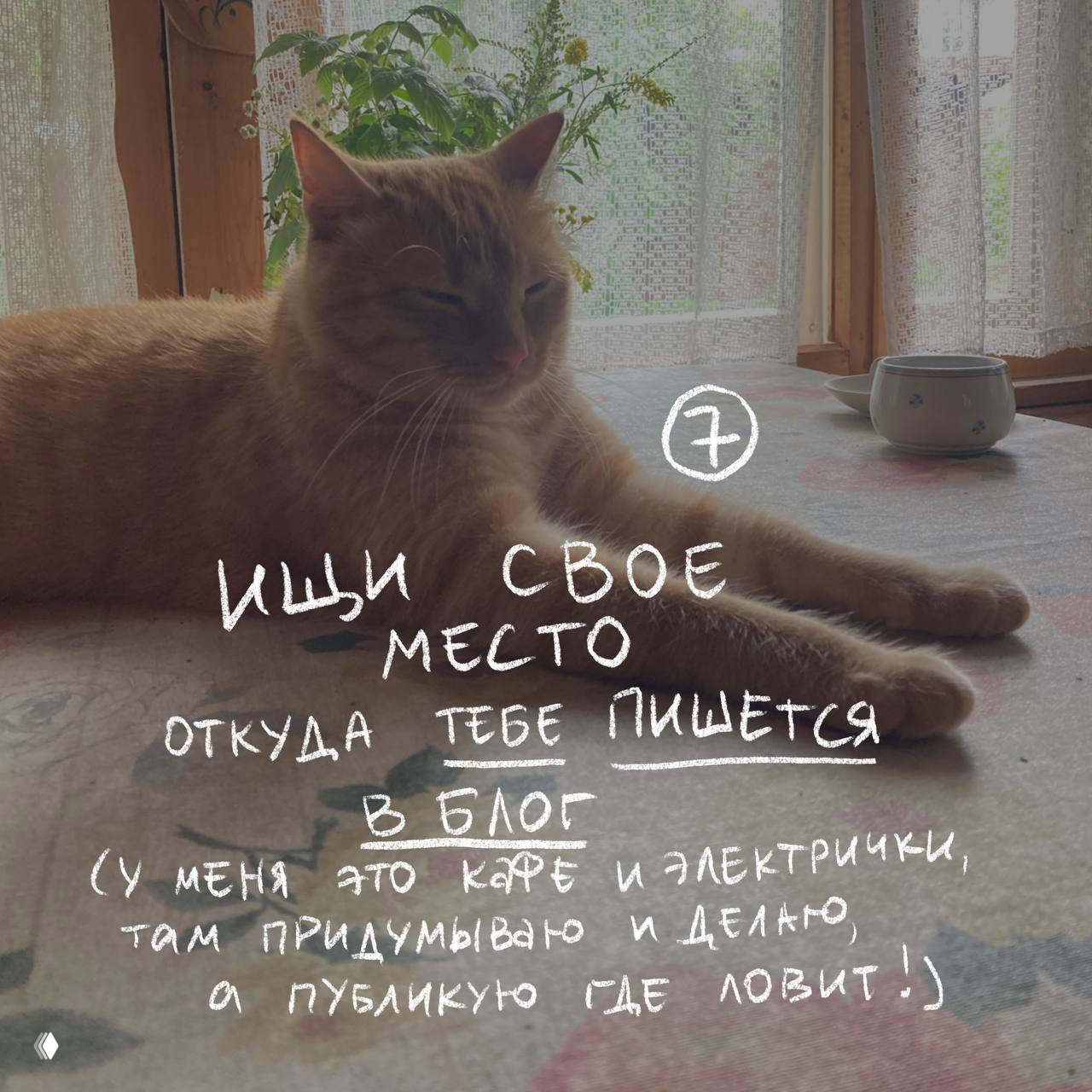 Рыжий кот на столе у окна, рядом чашка; поверх фото рукописный совет «ищи свое место, откуда тебе пишется в блог».