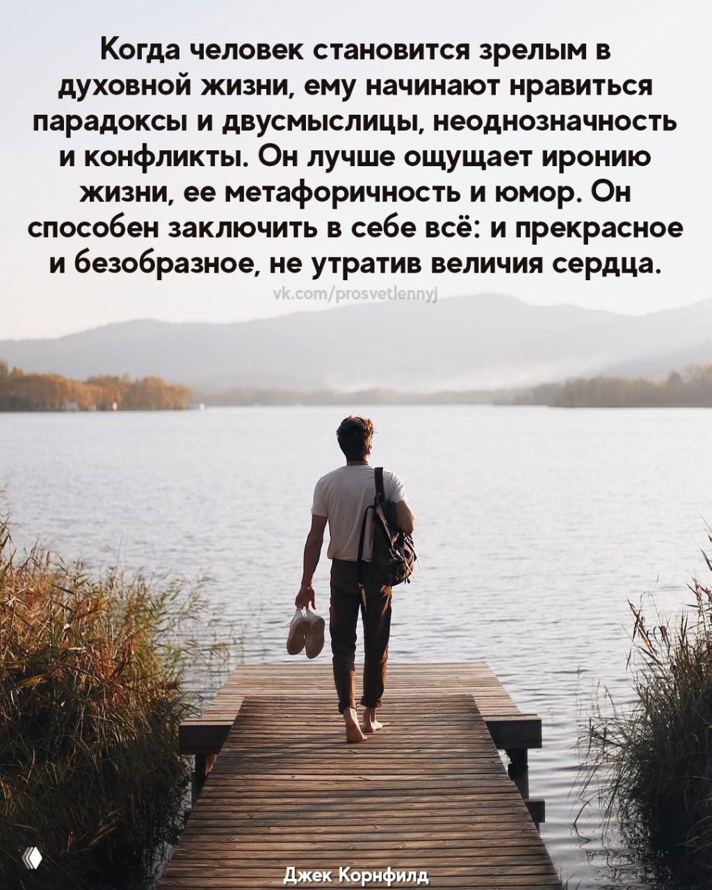 Почему я распробовала оливки только в 40 лет?