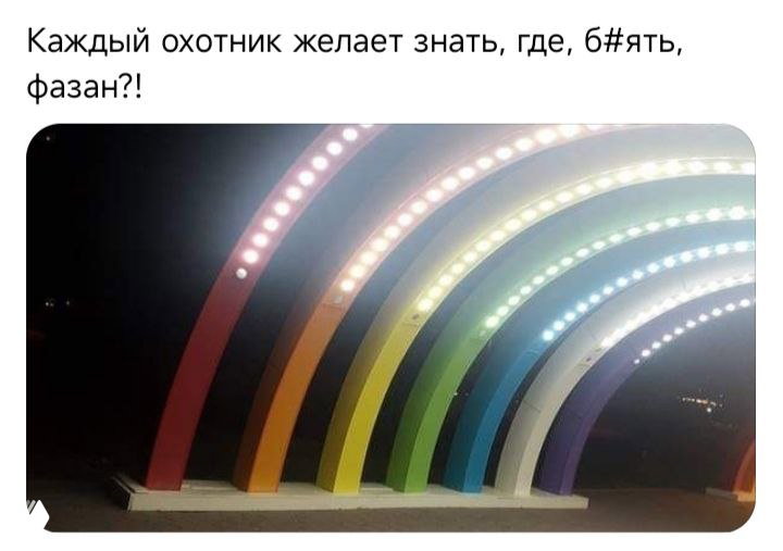 Фотография радужной арки с разноцветной подсветкой под постом о фазане: ночная инсталляция с LED-полосами на тёмном фоне.