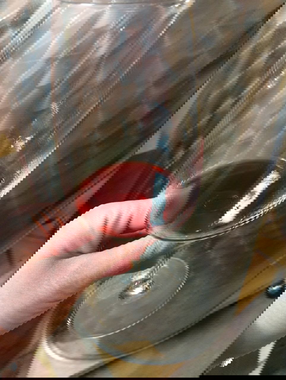 Рука держит бокал с небольшим количеством бордового вина на фоне металлической ёмкости винодельни — кадр с дегустации во время выезда.