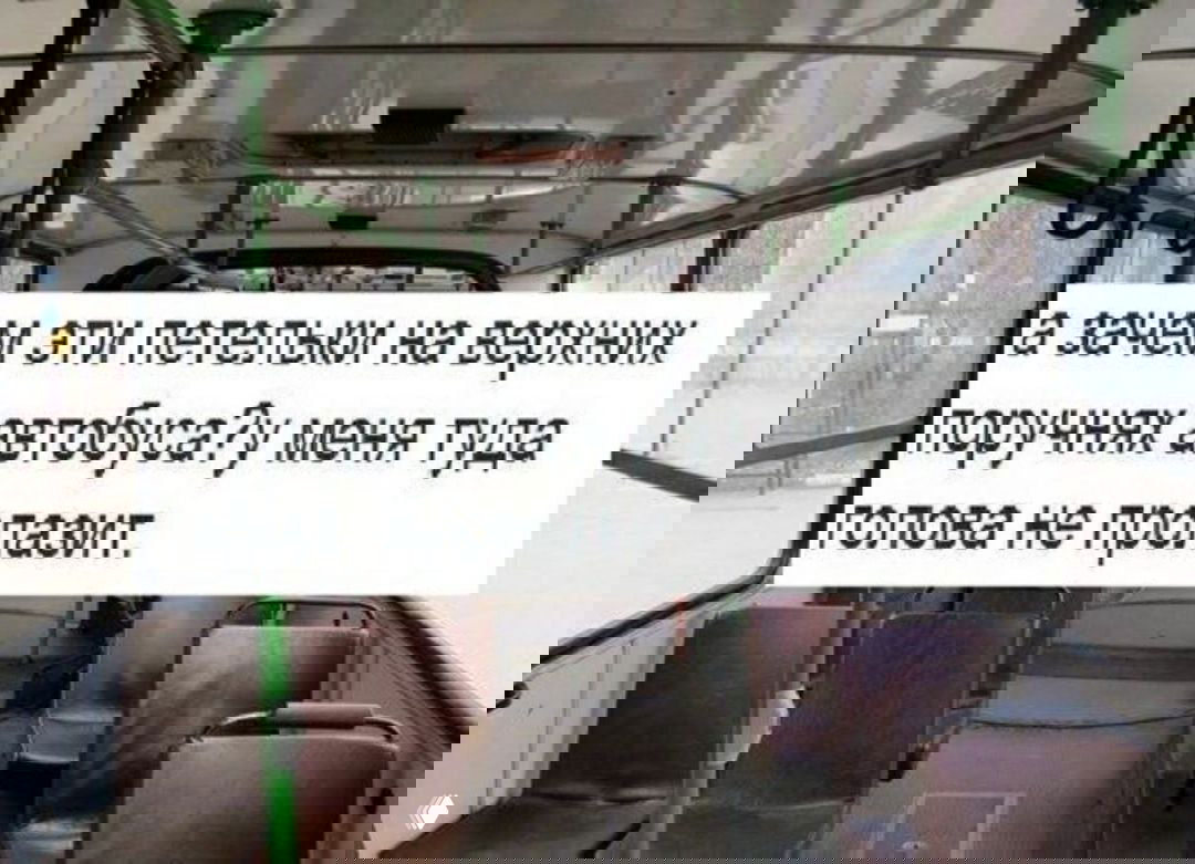 Факт №13: забытое слово как лёгкая социальная травма