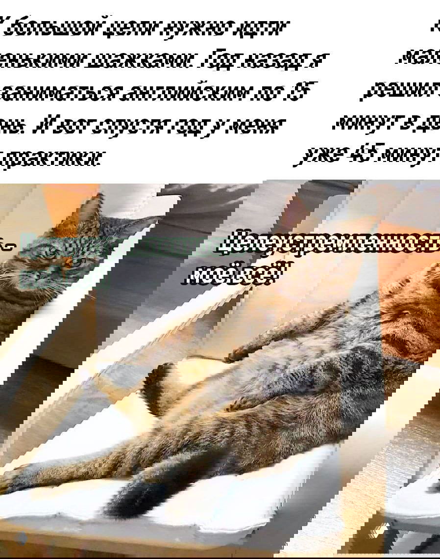 Факт #24: 5 минут говорения вслух каждый день