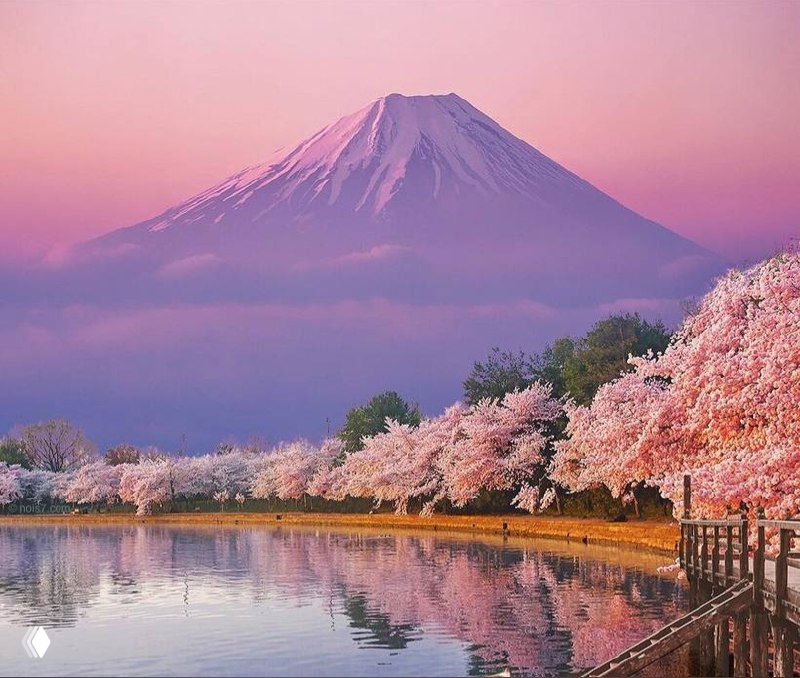 Воскресные байки — угадайка со стихом