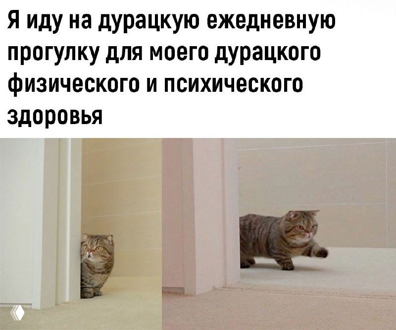 Факт #23: слова остаются в пассиве