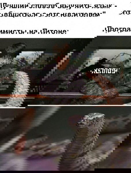 Факт #25: язык — инструмент, не экзамен