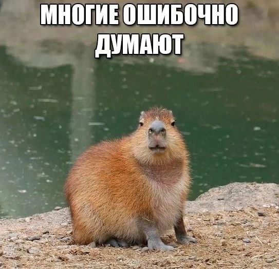 Факт #2 — стресс speaking и миндалевидное тело