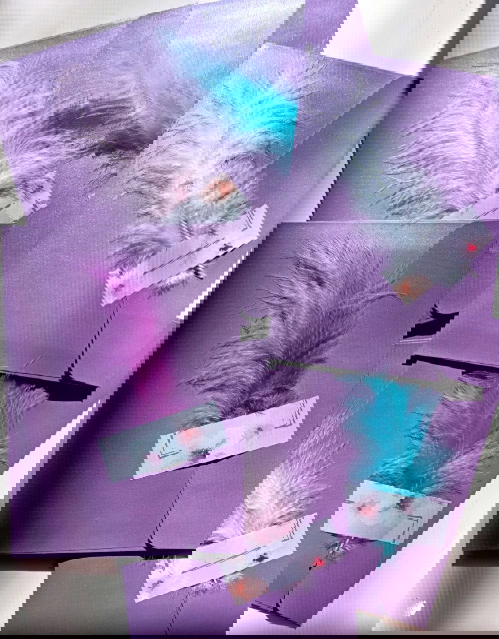 Фиолетовые конверты с перьями — маленькие аксессуары и символы встречи, аккуратно разложенные для участников мероприятия.