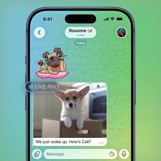 Скриншот чата Telegram с живым фото (live photo) и сообщением: демонстрация отправки лайф-фото и мультимедийных возможностей приложения.