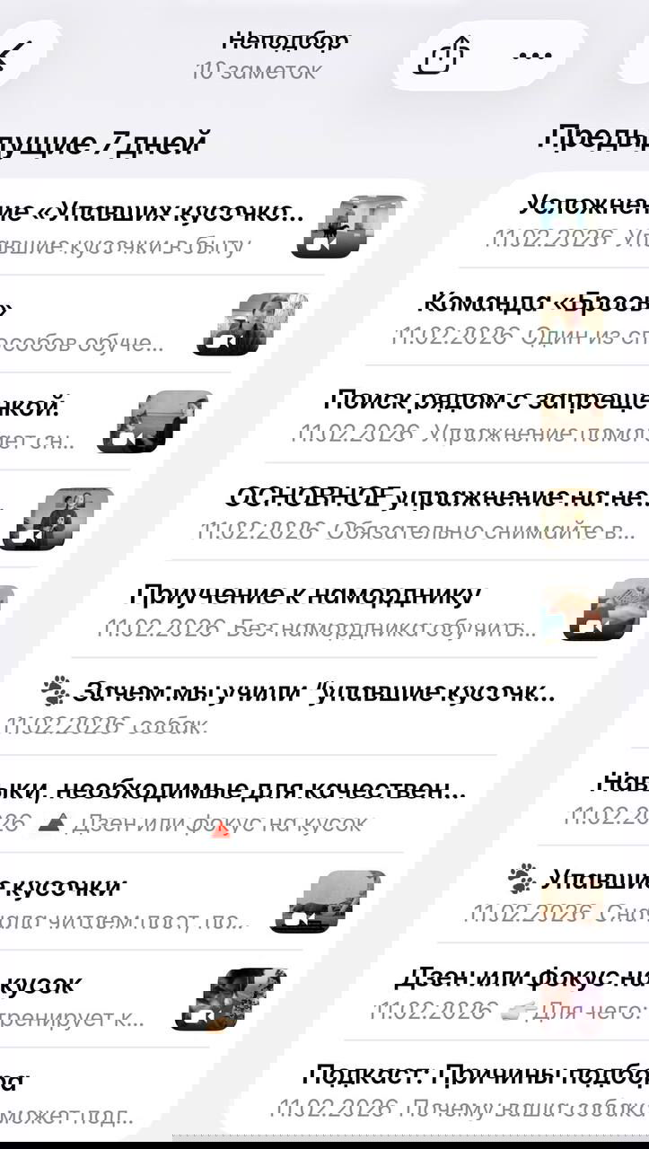 Скриншот страницы с многочисленными заметками: темы по подбору, навыкам и упражнениям, отображаются в компактном виде списка с датами и иконками видео.