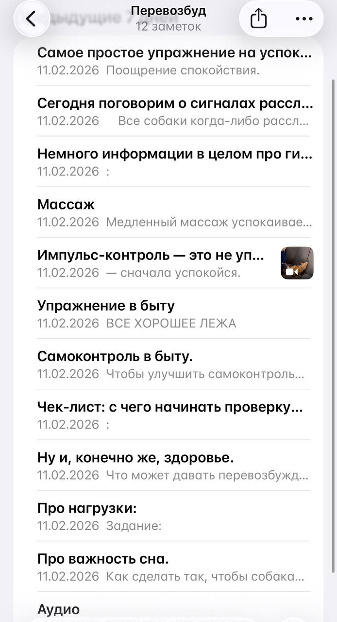 Скриншот раздела «Правила»: несколько заметок с названиями тем о поощрении, наказании и использовании маркеров, видим упорядоченный список материалов.