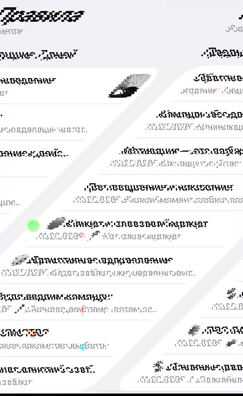 Скриншот раздела «Развлечения»: заметки про поиск лакомства, игровое обогащение и варианты упражнений — заметки с превью и датами.