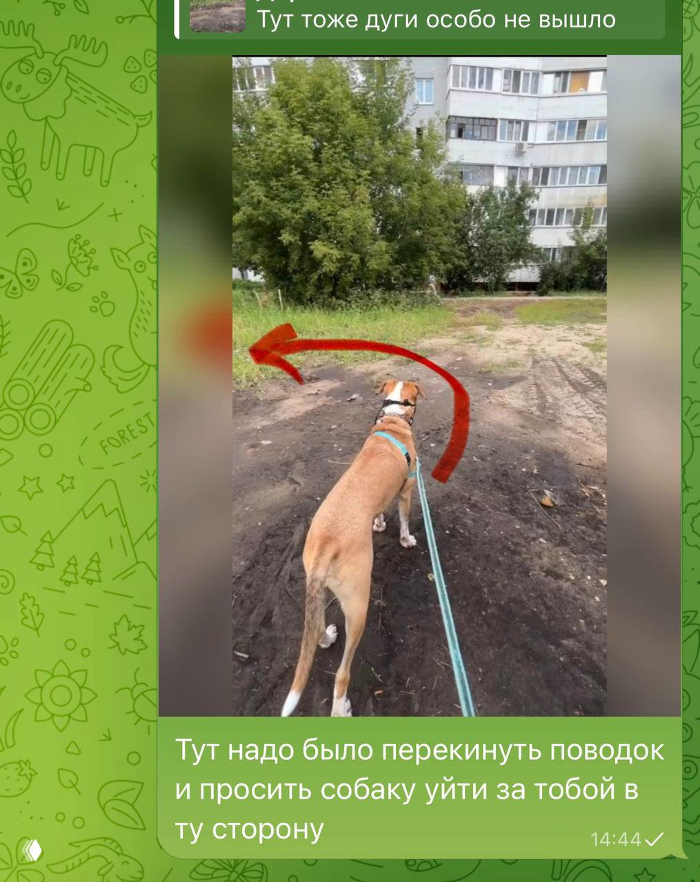 Скриншот с фото собаки в шлейке на длинном поводке: вид со спины, наложена красная стрелка, под фото поясняющий текст о перестановке поводка.