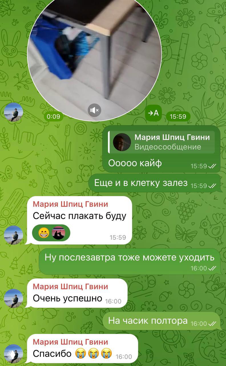 Скриншот переписки в Telegram: сообщения владельцев о том, что пёс провёл 40 минут один, с положительными эмоциями и видеосообщением.