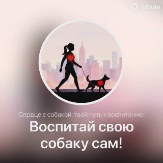 Силуэт гуляющего человека с собакой на фоне городского горизонта, сердечко и надпись «Воспитай свою собаку сам!» — обложка курса.