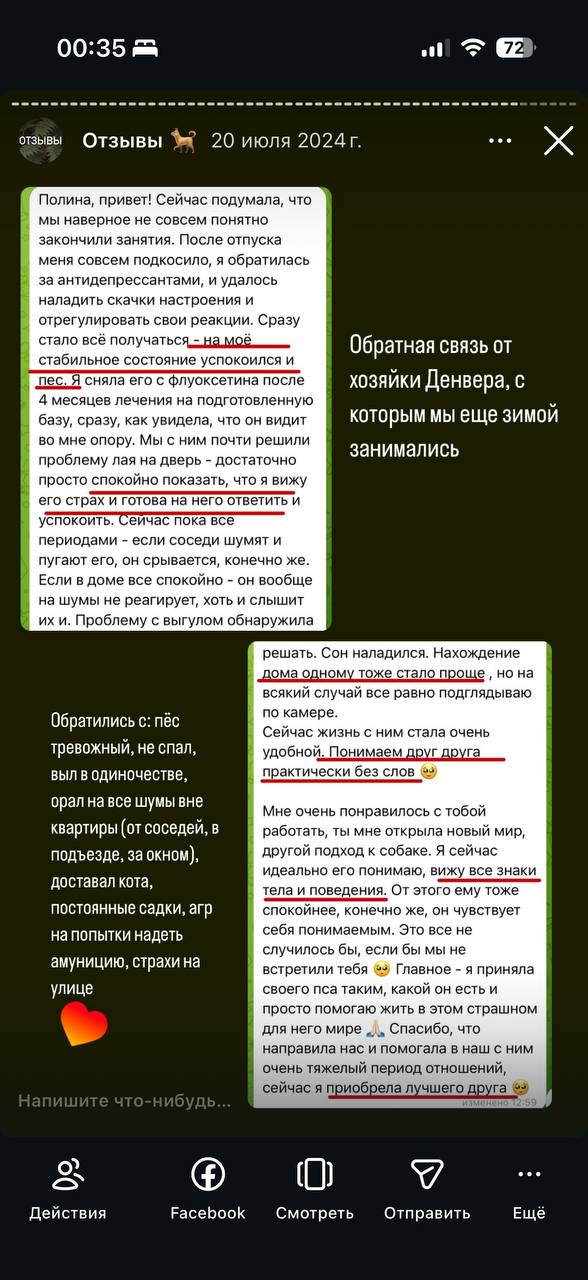 Скриншот чата с благодарностью за подготовку собаки к перелету и речь клиента о том, как прошла дорога и как вели себя питомцы во время поездки.