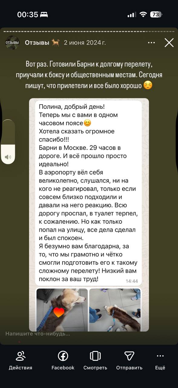 Скриншот сообщения с развернутым отзывом: клиент описывает процесс тренировок, снижение тревоги у собаки и улучшение реакции на внешние раздражители.