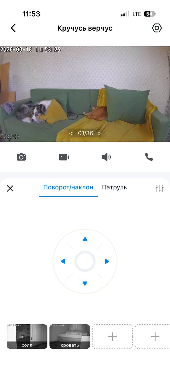 Ритуалы и потребности в коррекции одиночного воя