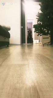 Съёмка с уровня пола: собака в прихожей пытается удержать равновесие на скользком ламинате возле ёлки и дверного проёма; видна опасность для суставов.