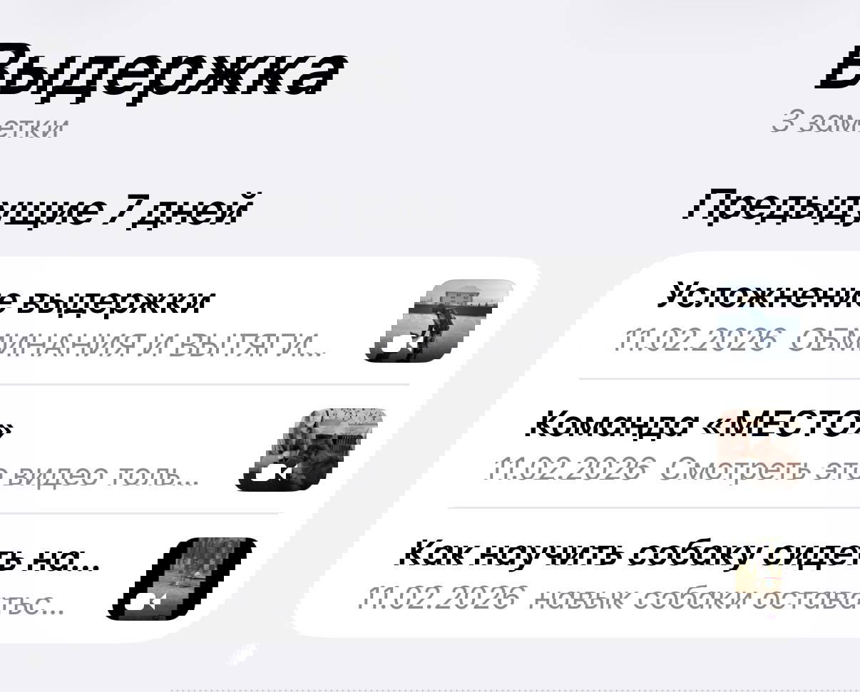 Показала всё из канала «Сердце с собакой»