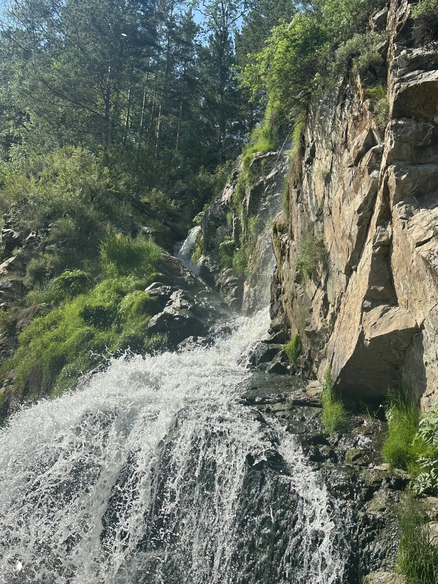 Водопад в алтайской чаще: поток воды с силой срывается по скалам, вокруг влажная зелень, мох и каменные уступы с солнечными бликами в брызгах.
