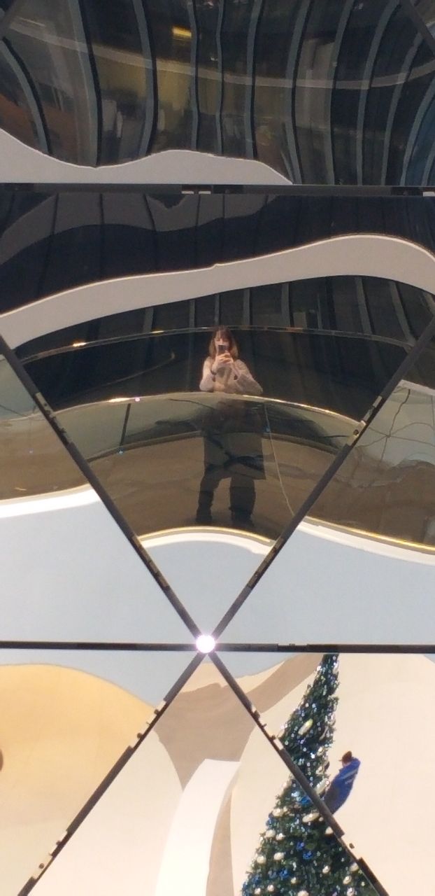 Зеркальная поверхность с искажёнными отражениями: в кадре видна фигура автора и фрагменты интерьера, игра света и форм.