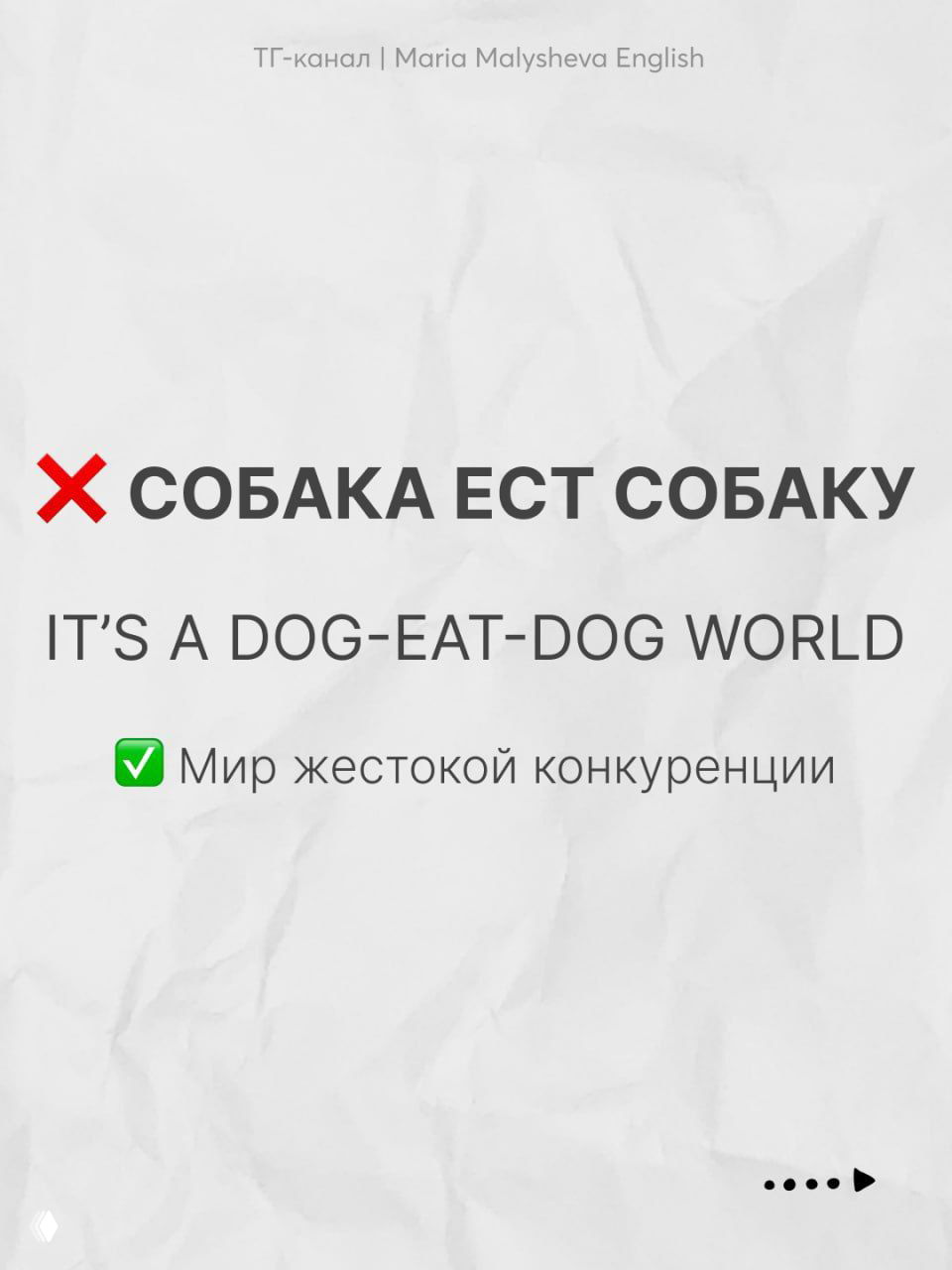 Слайд «it’s a dog-eat-dog world» с переводом на русский и объяснением значения в контексте жесткой конкуренции, минималистичный стиль.