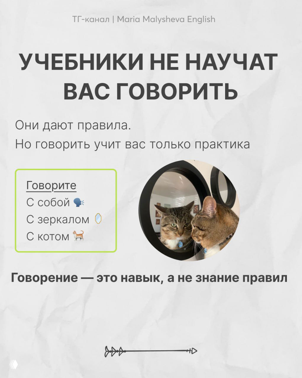 Слайд с текстом «Учебники не научат вас говорить»: блок с советами и фотография кота в круглой маске справа, светлый фон.