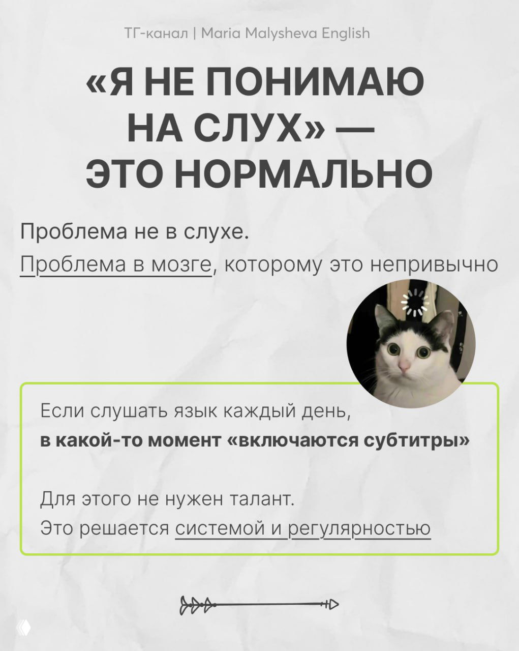 Слайд «Я не понимаю на слух — это нормально»: объяснение, что проблема в мозге, а не слухе; справа фото удивлённого кота.