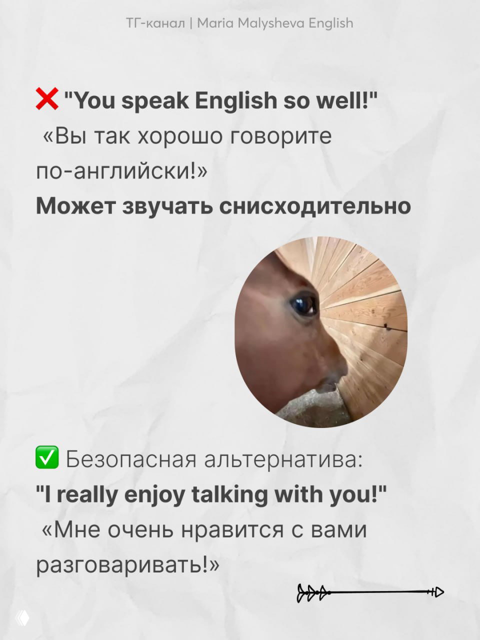 Слайд с фразой «You speak English so well!» и близким кадром животного, комментарий о том, что комплимент может звучать снисходительно.