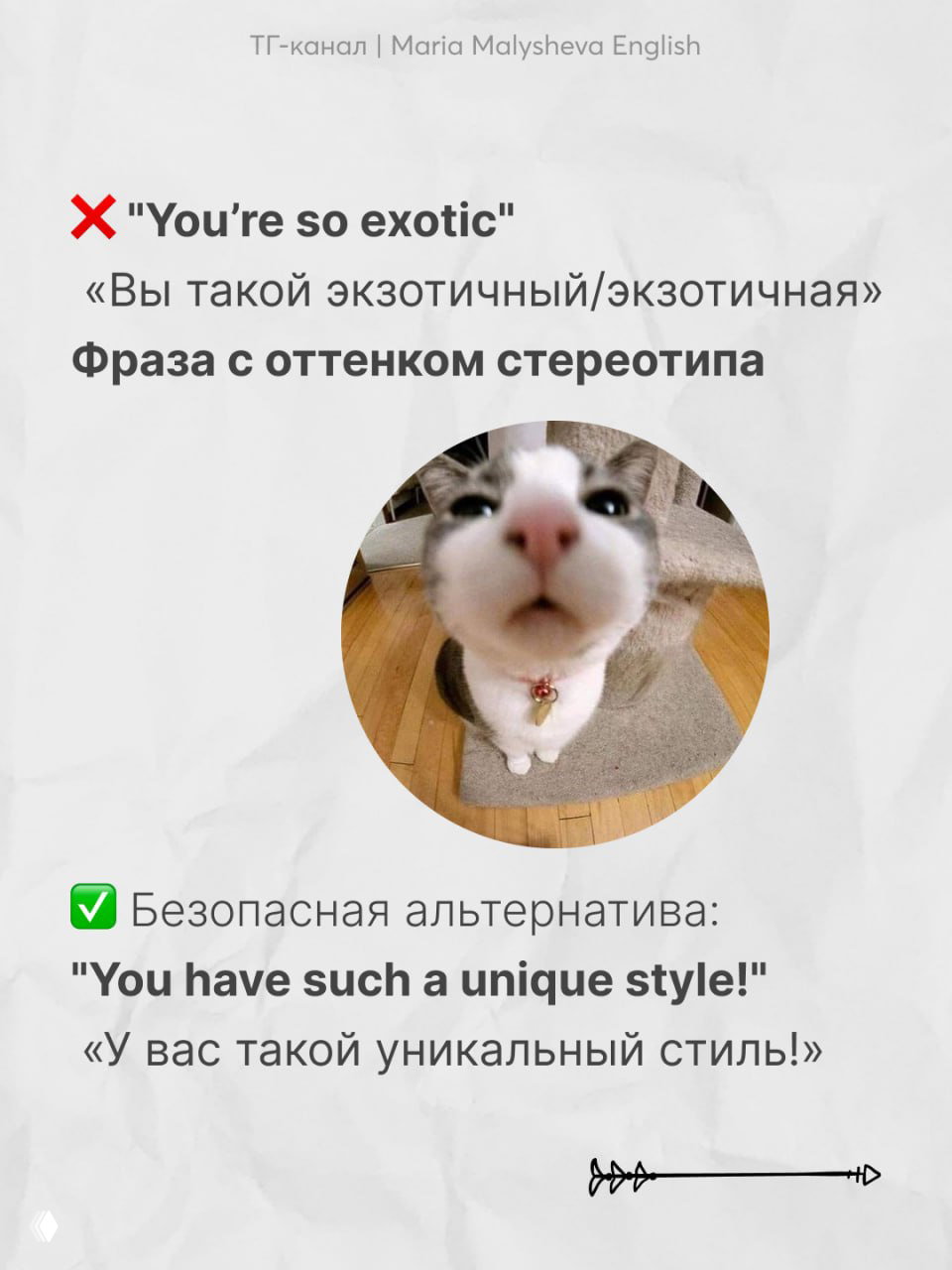 Слайд с фразой «You’re so exotic» и фото любопытного кота в рыбьем объективе, пояснение о стереотипности такого высказывания.