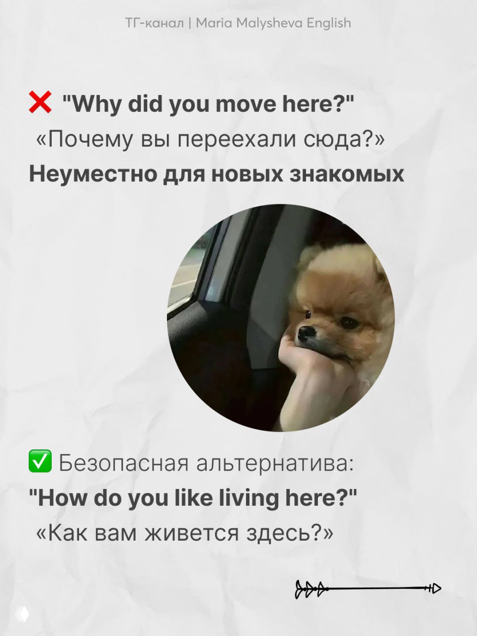 Слайд с вопросом «Why did you move here?» и фото задумчивой собачки; объяснение, что вопрос может быть неуместен для новых знакомых.