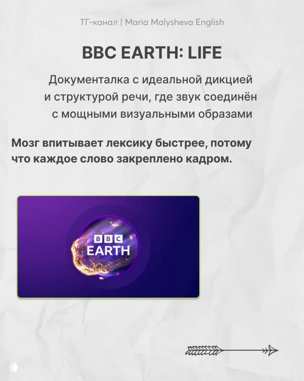 Слайд о BBC Earth: Life — заголовок и текст про идеальную дикцию и связь звука с визуальными образами для запоминания лексики.