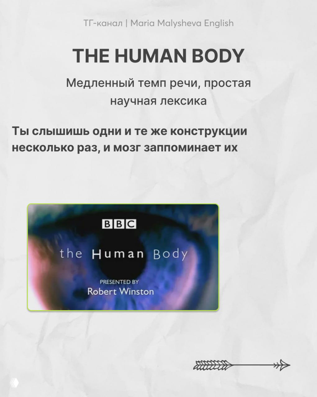 Слайд с заголовком The Human Body — отмечены медленный темп речи и простая научная лексика, полезно повторять одни и те же конструкции.