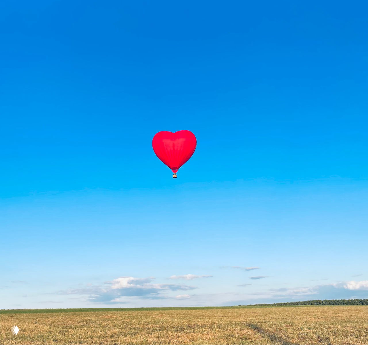 Мой дневник: генетический рак в семье